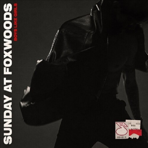 Boys Like Girls - Sunday at Foxwoods cover art