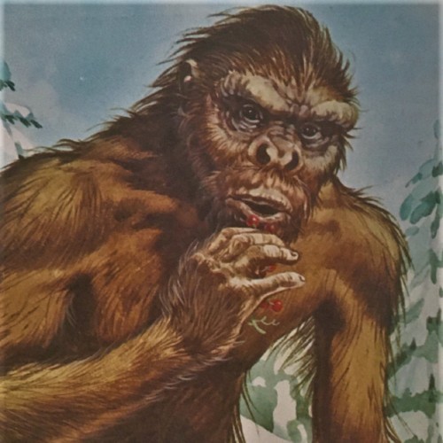 Turbo-Laser - Randy Sasquatch cover art