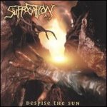 Despise The Sun